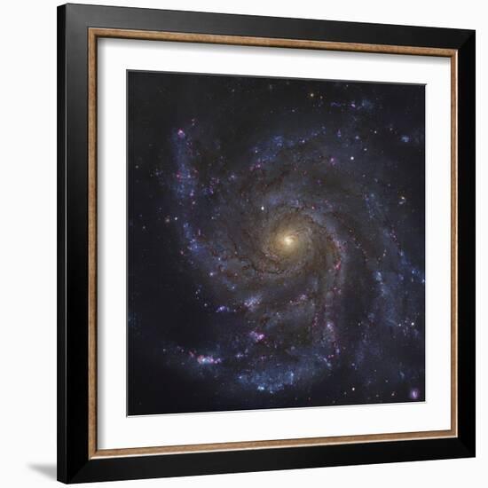 The Pinwheel Galaxy-Stocktrek Images-Framed Photographic Print