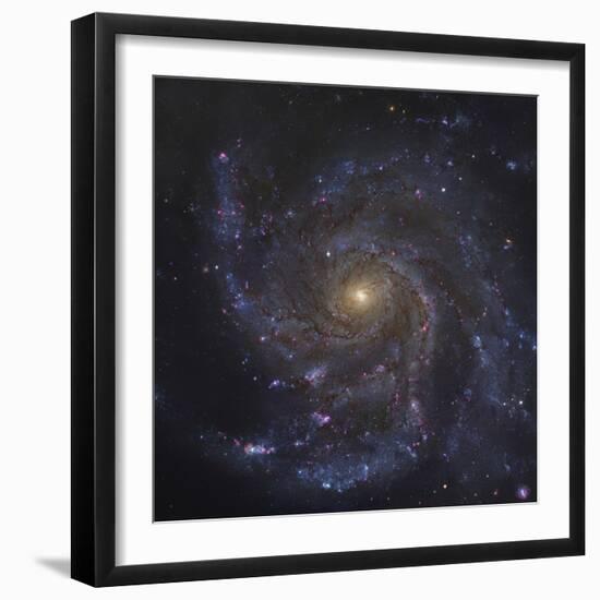 The Pinwheel Galaxy-Stocktrek Images-Framed Photographic Print