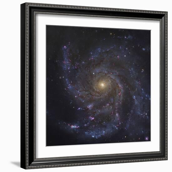 The Pinwheel Galaxy-Stocktrek Images-Framed Photographic Print