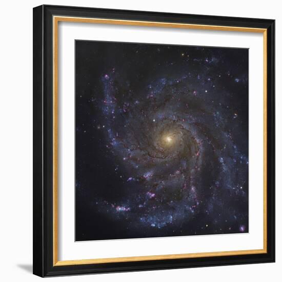 The Pinwheel Galaxy-Stocktrek Images-Framed Photographic Print