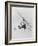 The "Pinwhell', Is a 1 Man Helicopter-Allan Grant-Framed Photographic Print