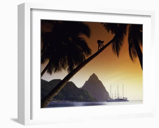 The Piton, Soufriere, St. Lucia-null-Framed Photographic Print