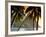 The Pitons, Soufriere, St. Lucia-null-Framed Photographic Print