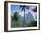 The Pitons, St. Lucia, Caribbean, West Indies-John Miller-Framed Photographic Print