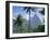 The Pitons, St. Lucia, Caribbean, West Indies-John Miller-Framed Photographic Print