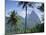 The Pitons, St. Lucia, Caribbean, West Indies-John Miller-Mounted Photographic Print