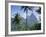 The Pitons, St. Lucia, Caribbean, West Indies-John Miller-Framed Photographic Print