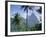 The Pitons, St. Lucia, Caribbean, West Indies-John Miller-Framed Photographic Print