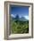 The Pitons, St.Lucia, Caribbean-John Miller-Framed Photographic Print