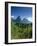 The Pitons, St.Lucia, Caribbean-John Miller-Framed Photographic Print