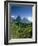 The Pitons, St.Lucia, Caribbean-John Miller-Framed Photographic Print