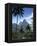 The Pitons, St. Lucia, Windward Islands, West Indies, Caribbean, Central America-null-Framed Premier Image Canvas