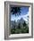 The Pitons, St. Lucia, Windward Islands, West Indies, Caribbean, Central America-null-Framed Photographic Print