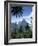 The Pitons, St. Lucia, Windward Islands, West Indies, Caribbean, Central America-null-Framed Photographic Print