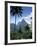 The Pitons, St. Lucia, Windward Islands, West Indies, Caribbean, Central America-null-Framed Photographic Print