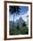 The Pitons, St. Lucia, Windward Islands, West Indies, Caribbean, Central America-null-Framed Photographic Print