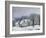 The Place Du Chenil at Marly-Le-Roi, Snow, 1876-Alfred Sisley-Framed Giclee Print