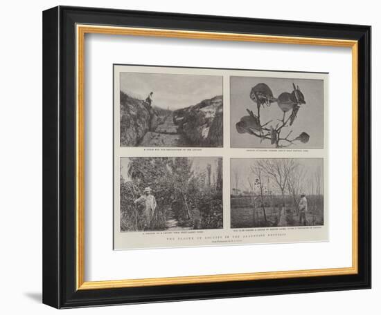 The Plague of Locusts in the Argentine Republic-null-Framed Giclee Print