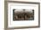 The Plain of Dothan, Palestine, 1900-Underwood & Underwood-Framed Giclee Print