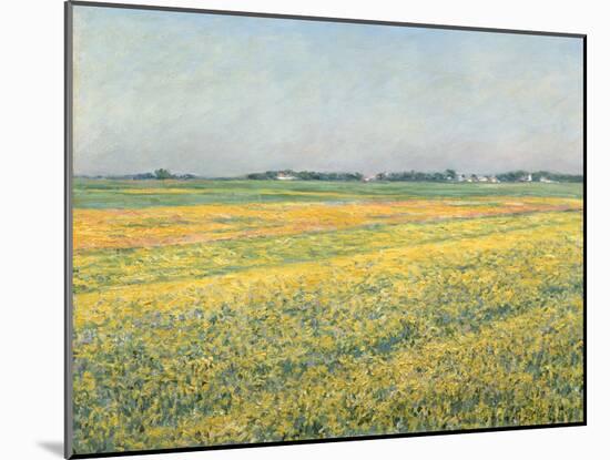 The Plain of Gennevilliers, Yellow Fields; La Plaine De Gennevilliers, Champs Jaunes, 1884 (Oil on-Gustave Caillebotte-Mounted Giclee Print