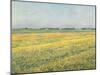 The Plain of Gennevilliers, Yellow Fields; La Plaine De Gennevilliers, Champs Jaunes, 1884 (Oil on-Gustave Caillebotte-Mounted Giclee Print