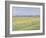 The Plain of Gennevilliers, Yellow Fields-Gustave Caillebotte-Framed Giclee Print