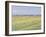 The Plain of Gennevilliers, Yellow Fields-Gustave Caillebotte-Framed Giclee Print