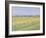 The Plain of Gennevilliers, Yellow Fields-Gustave Caillebotte-Framed Giclee Print