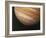 The Planet Jupiter, 1979-null-Framed Giclee Print