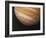 The Planet Jupiter, 1979-null-Framed Giclee Print