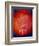 The Planet Mars-Michael Tompsett-Framed Premium Giclee Print