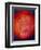 The Planet Mars-Michael Tompsett-Framed Premium Giclee Print