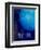 The Planet Neptune-Michael Tompsett-Framed Premium Giclee Print