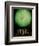 The Planet Uranus-Michael Tompsett-Framed Premium Giclee Print