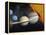 The Planets and Larger Moons to Scale with the Sun-Stocktrek Images-Framed Premier Image Canvas