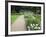 The Plantation Garden, Norwich, Norfolk, England, United Kingdom, Europe-Mark Sunderland-Framed Photographic Print