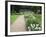 The Plantation Garden, Norwich, Norfolk, England, United Kingdom, Europe-Mark Sunderland-Framed Photographic Print