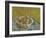 The Plate of Apples, C.1877-Paul Cezanne-Framed Giclee Print