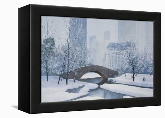 The Plaza-Diane Romanello-Framed Stretched Canvas