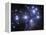 The Pleiades-Stocktrek Images-Framed Premier Image Canvas