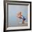 The Plunge-Lucia Heffernan-Framed Premium Giclee Print