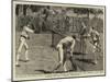 The Political Lawn-Tennis Match at Prince'S-null-Mounted Giclee Print