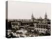 Stretched Canvas Print