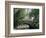 The Pond, Central Park, New York, USA-I Vanderharst-Framed Photographic Print