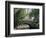 The Pond, Central Park, New York, USA-I Vanderharst-Framed Photographic Print