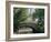 The Pond, Central Park, New York, USA-I Vanderharst-Framed Photographic Print