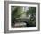 The Pond, Central Park, New York, USA-I Vanderharst-Framed Photographic Print