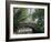 The Pond, Central Park, New York, USA-I Vanderharst-Framed Photographic Print