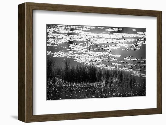 The Pond in Black and White-Ursula Abresch-Framed Photographic Print