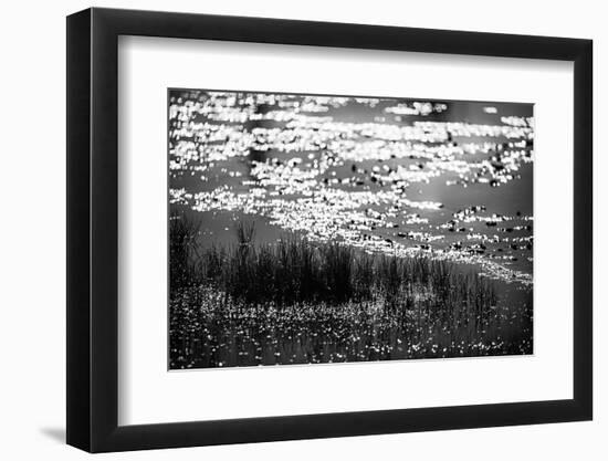 The Pond in Black and White-Ursula Abresch-Framed Photographic Print